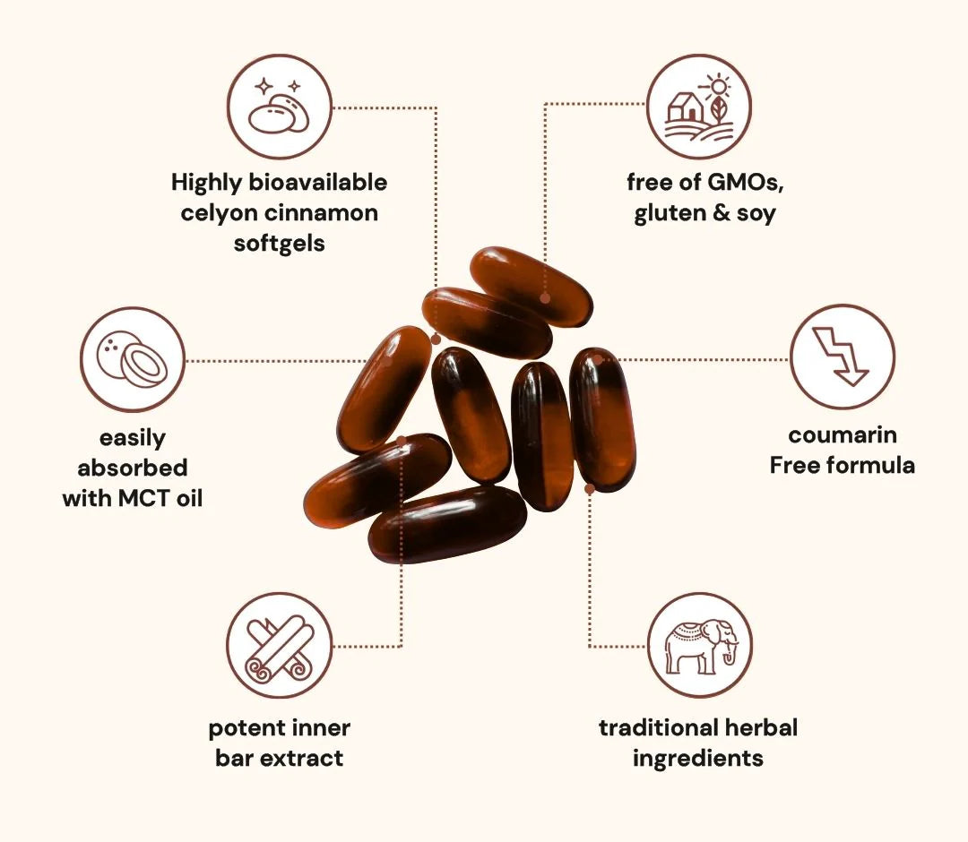 Glucose Guardian: The Protocol For Your Body's Hidden Sugar Spike
