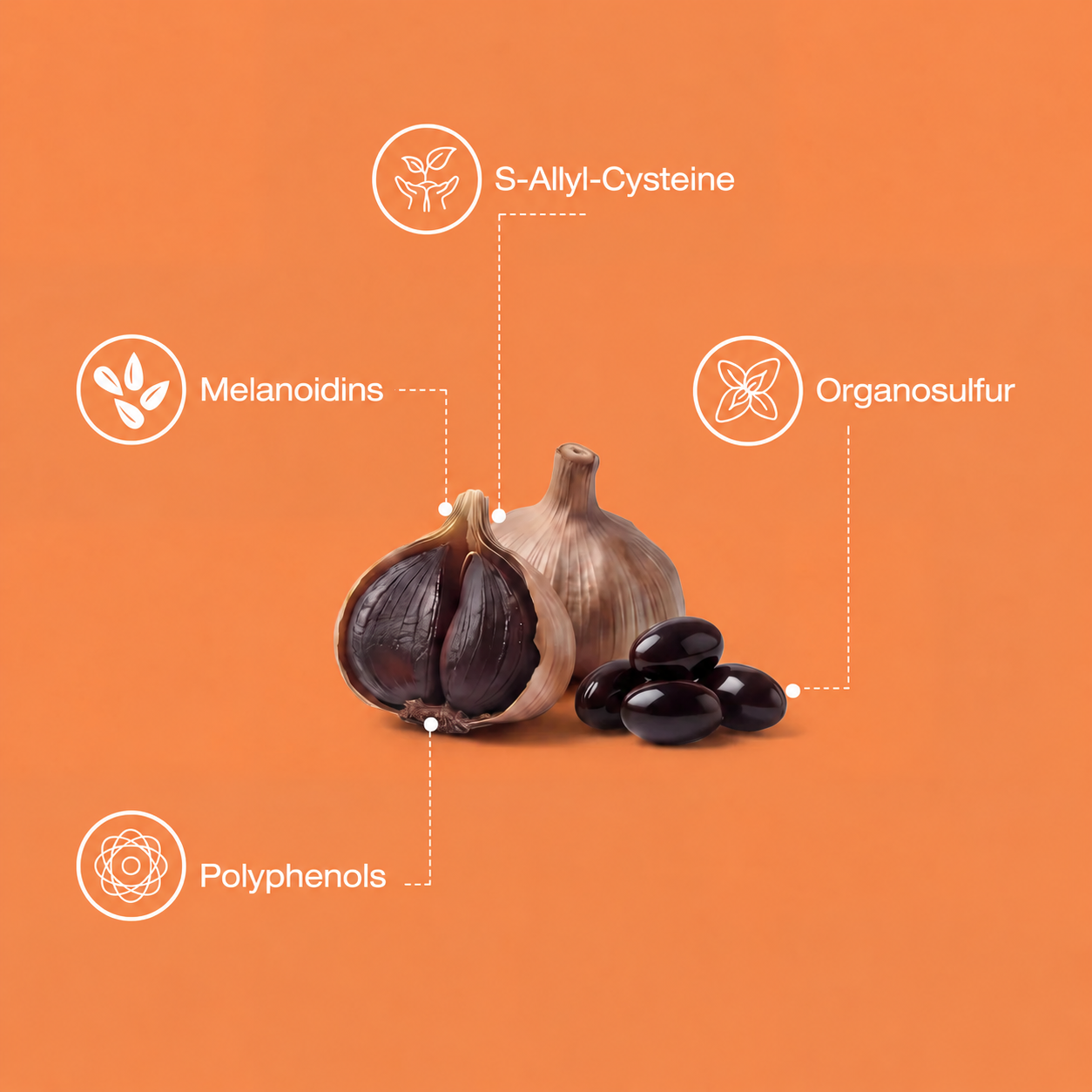 5 Super-Ingredients Inside